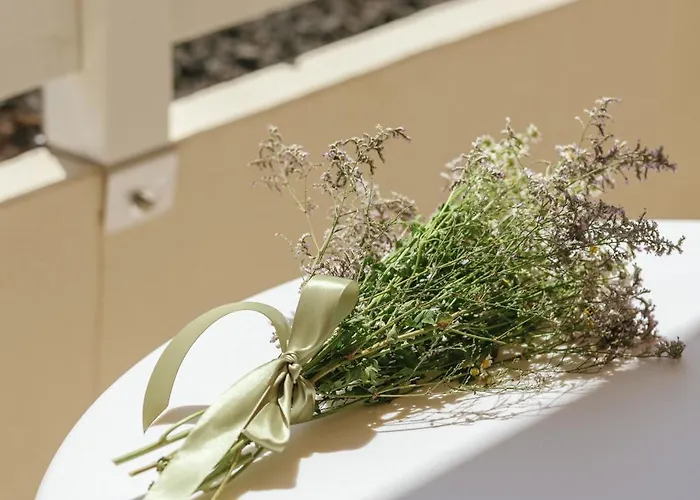 Maison فندق سيرولو